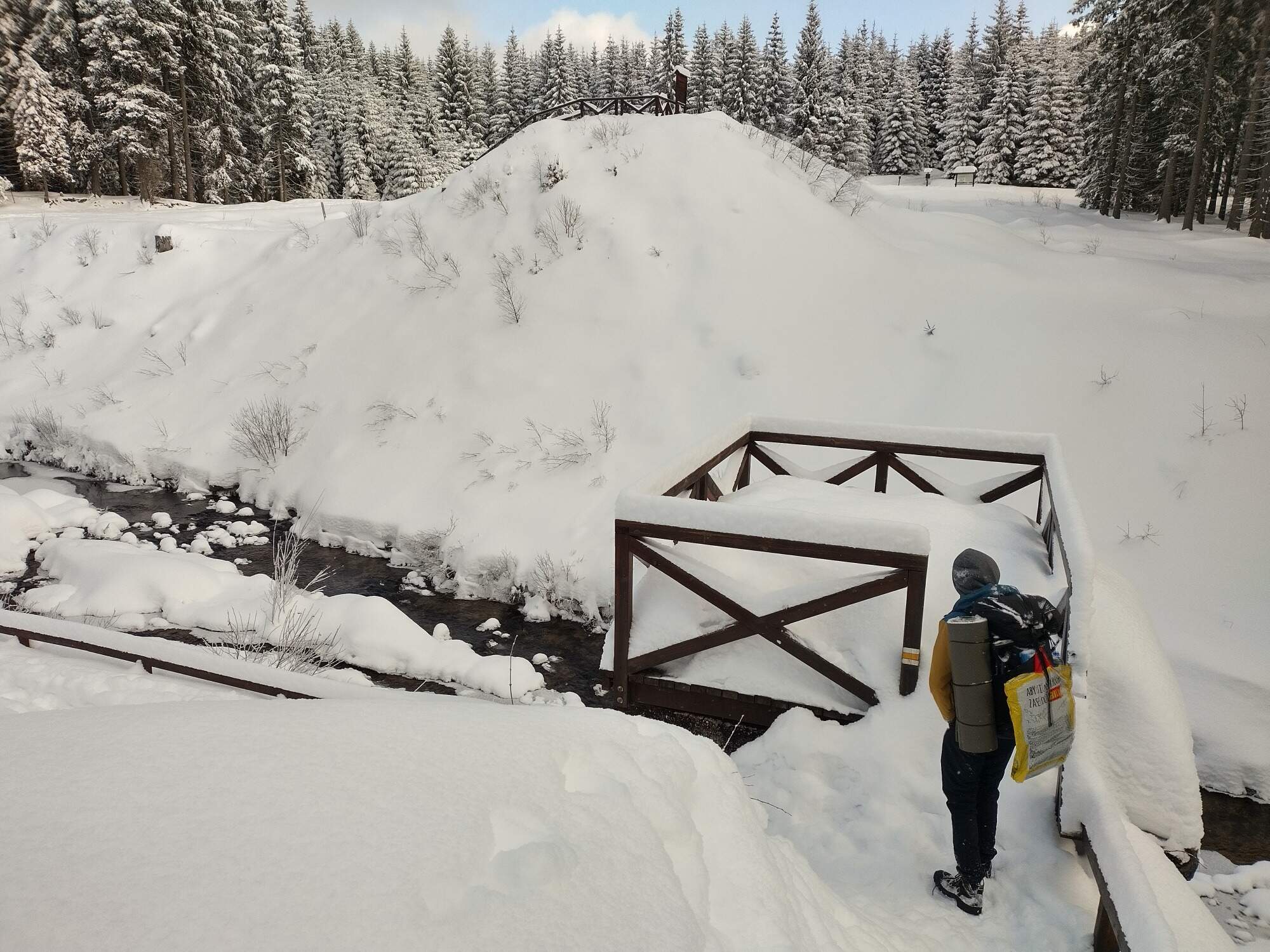 IMG 20250216 104835 HDR