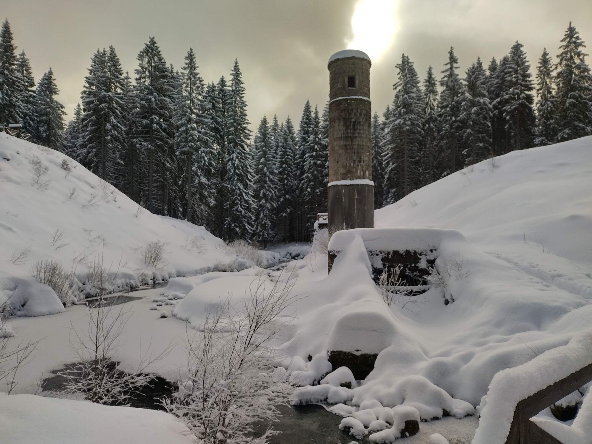 IMG 20250216 105315 HDR