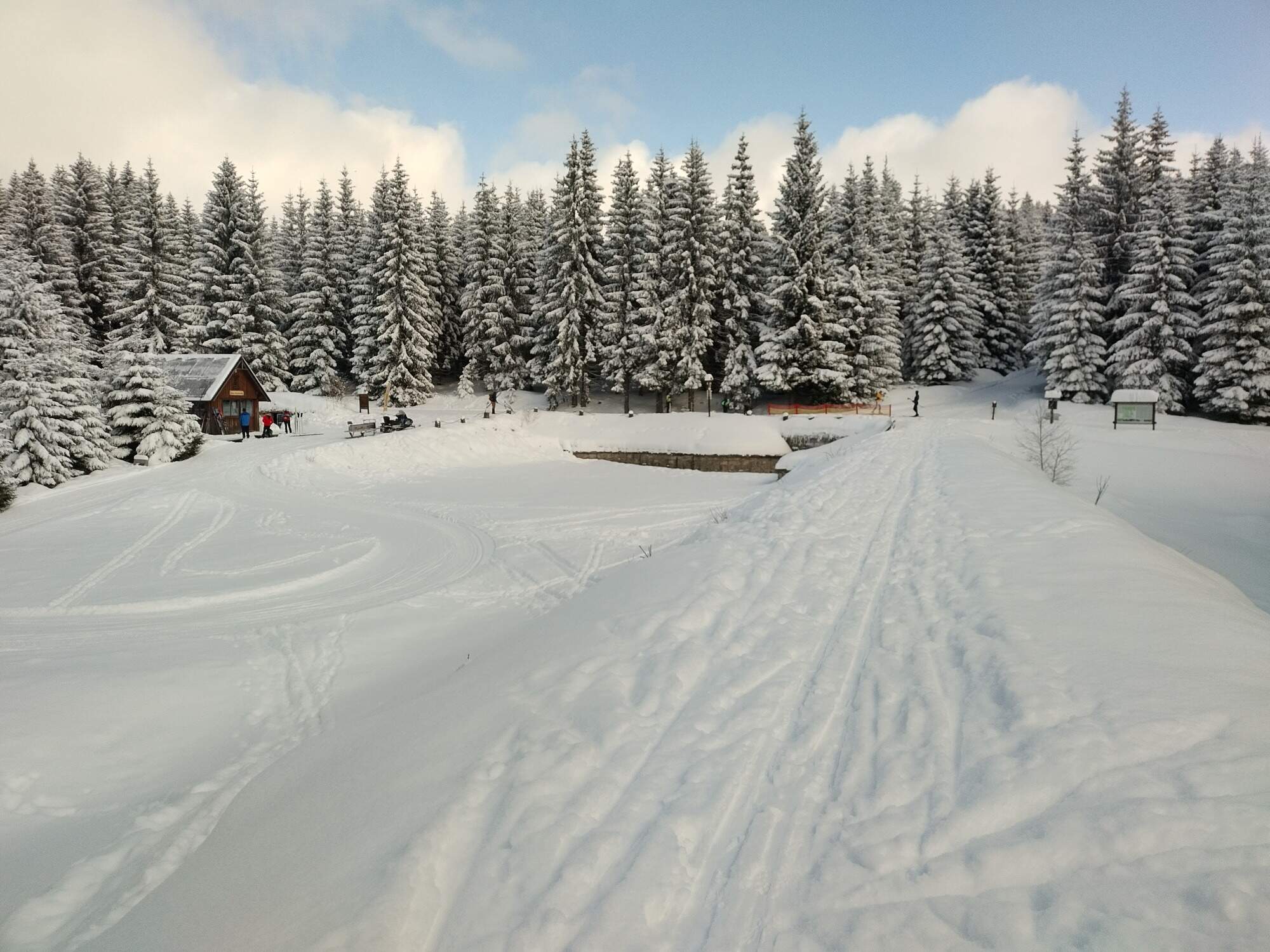 IMG 20250216 110114 HDR