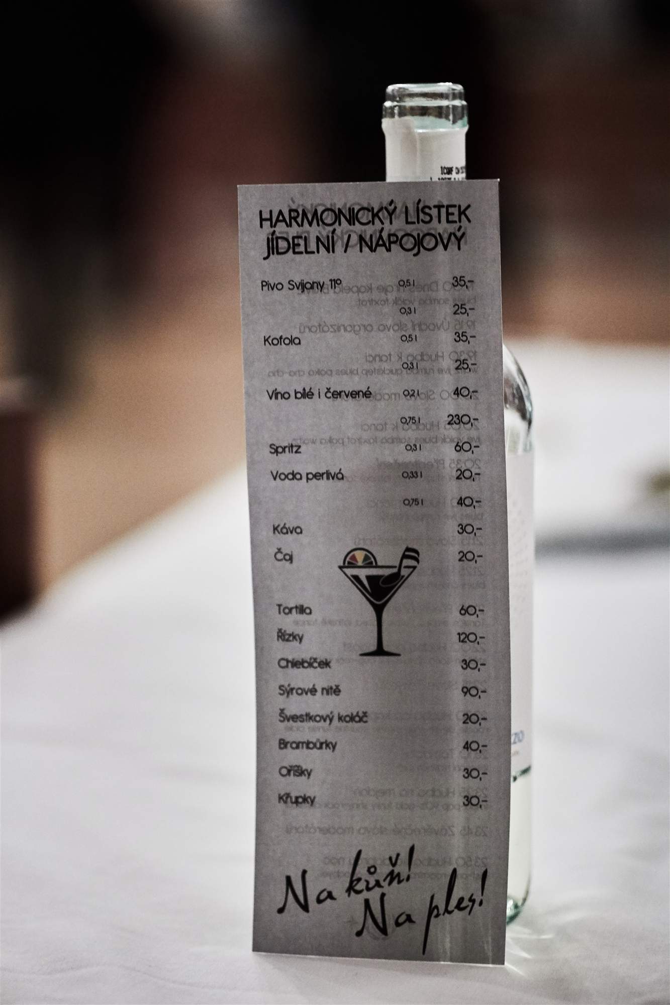 Harcovnicky Ples 2019 104