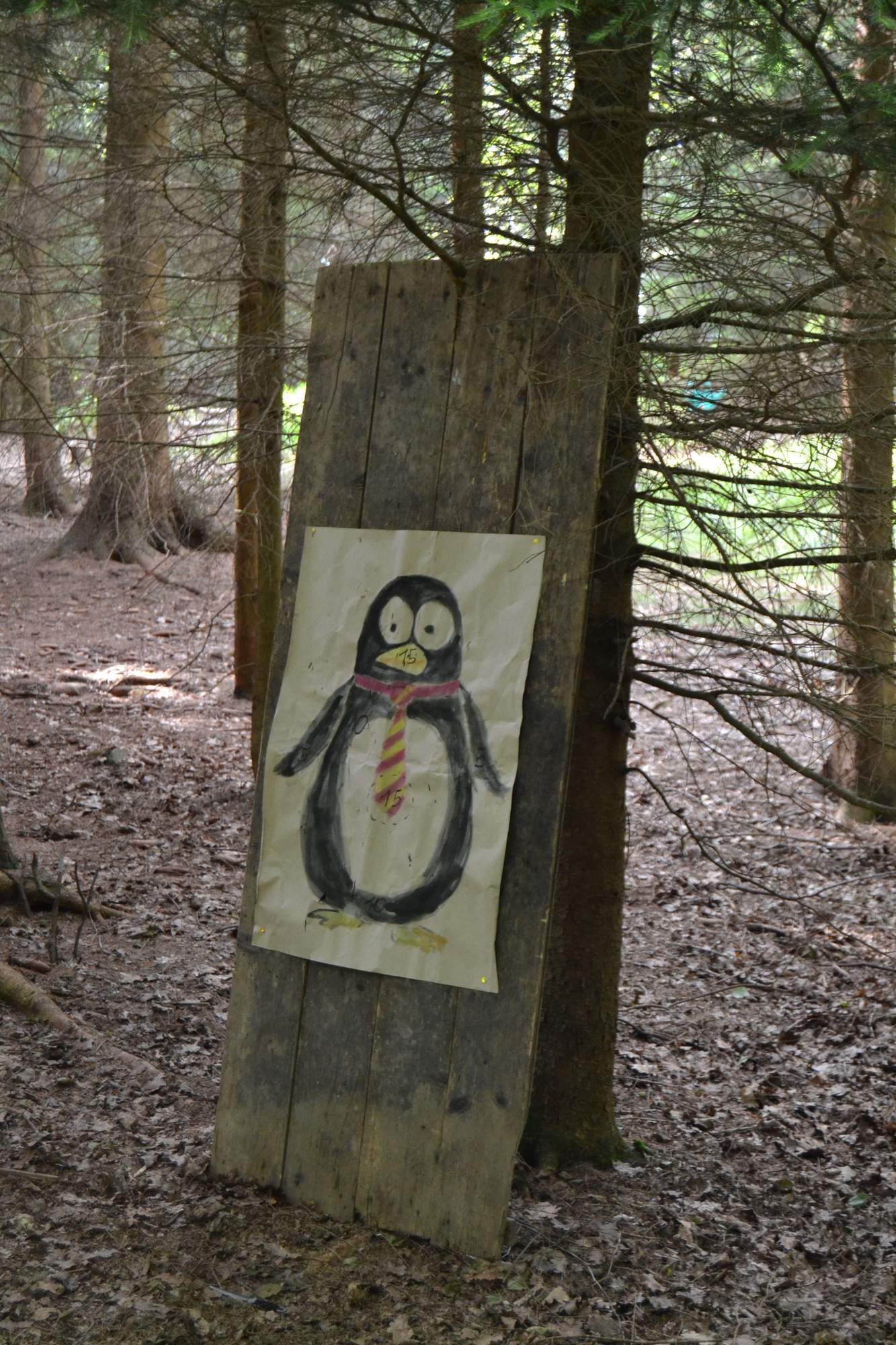 Harcovnicka olympiada 0058