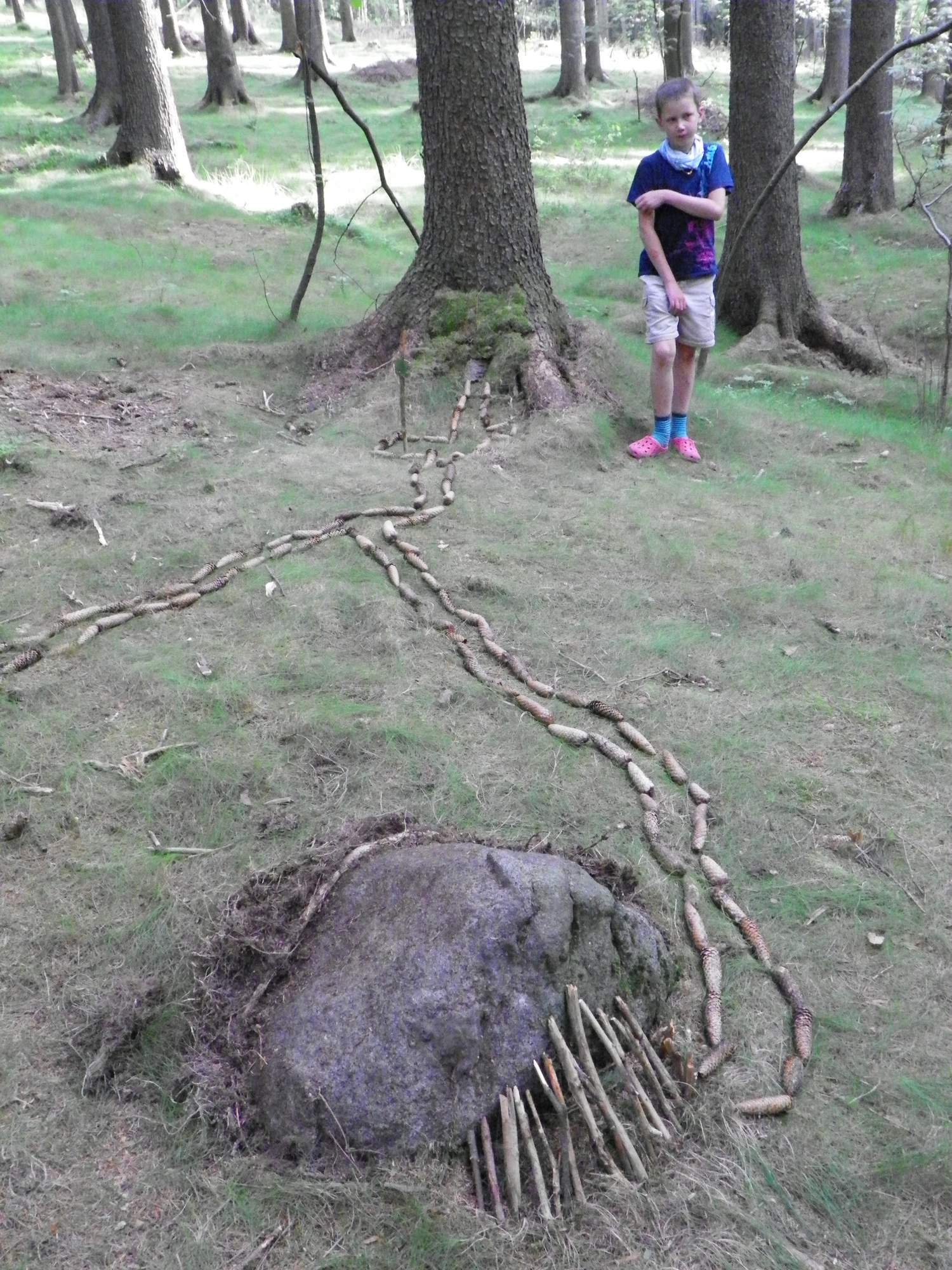 Jednicky v lese 0365