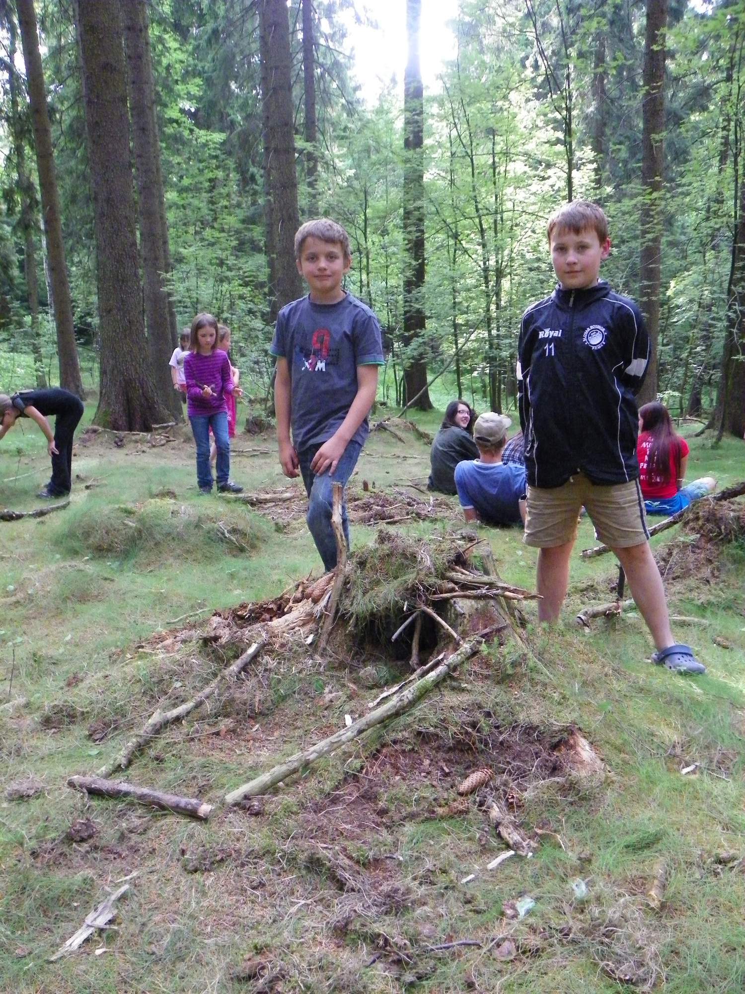 Jednicky v lese 0368