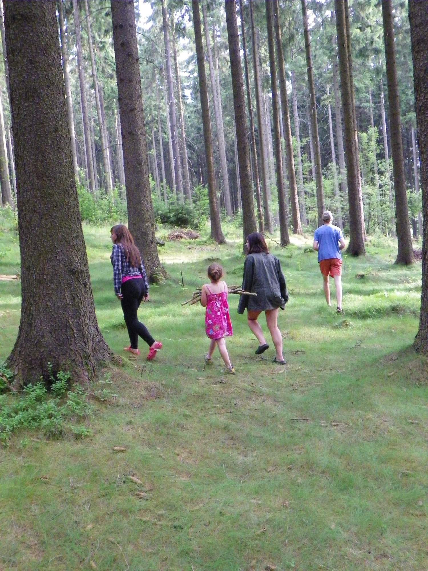 Jednicky v lese 0376