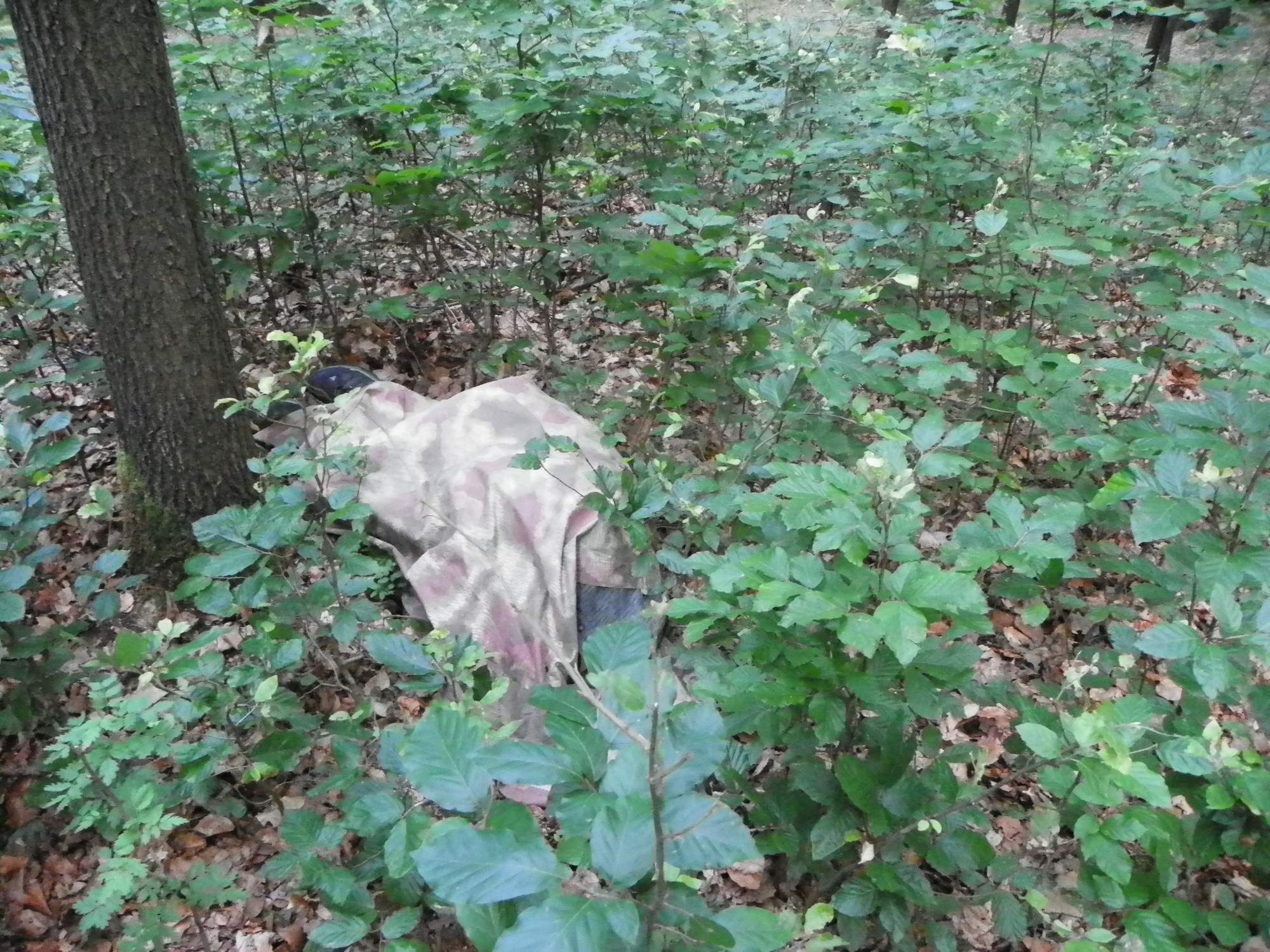 Odpoledni hra orisky a medvedi 0336