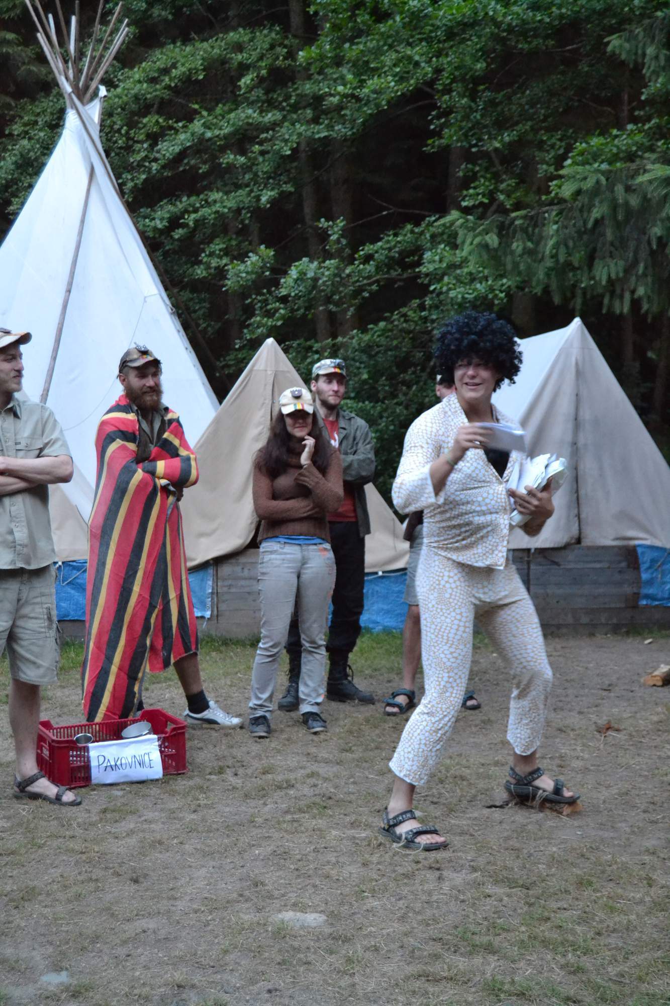 Postovni holub 0417 2 