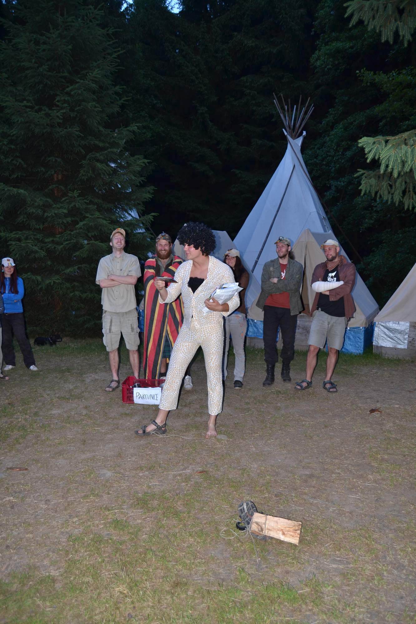 Postovni holub 0423 2 