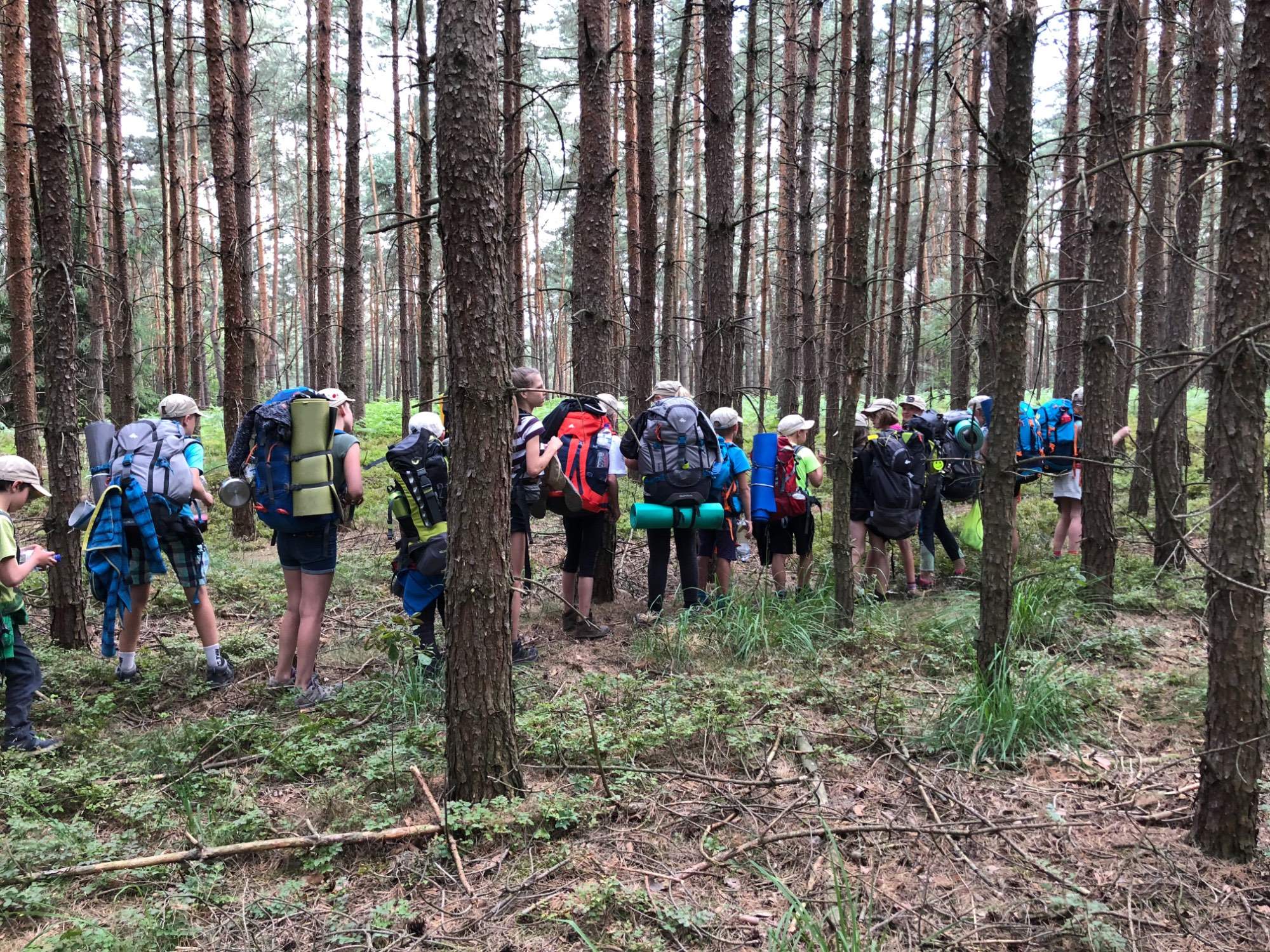 0FE828AF 1F71 4311 B381 511EBC8CF6C7