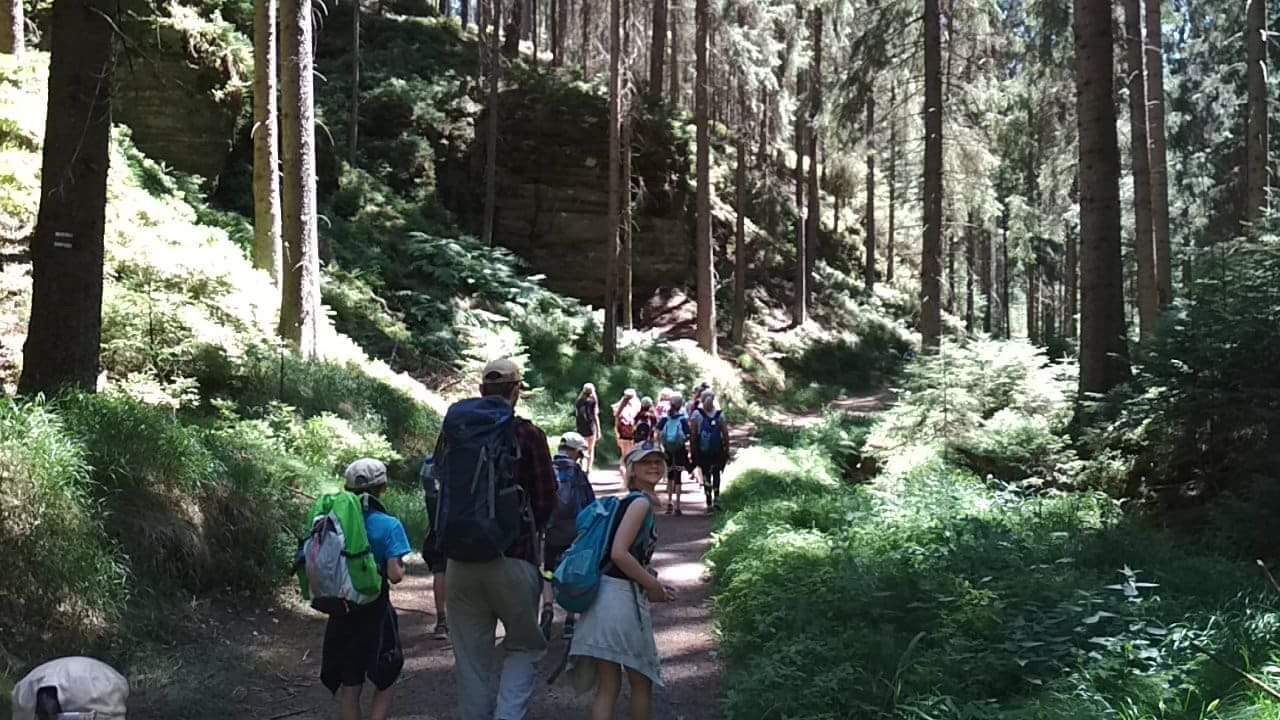 F6D2EAF2 8C4E 4628 B68D B76EDE90CA6C