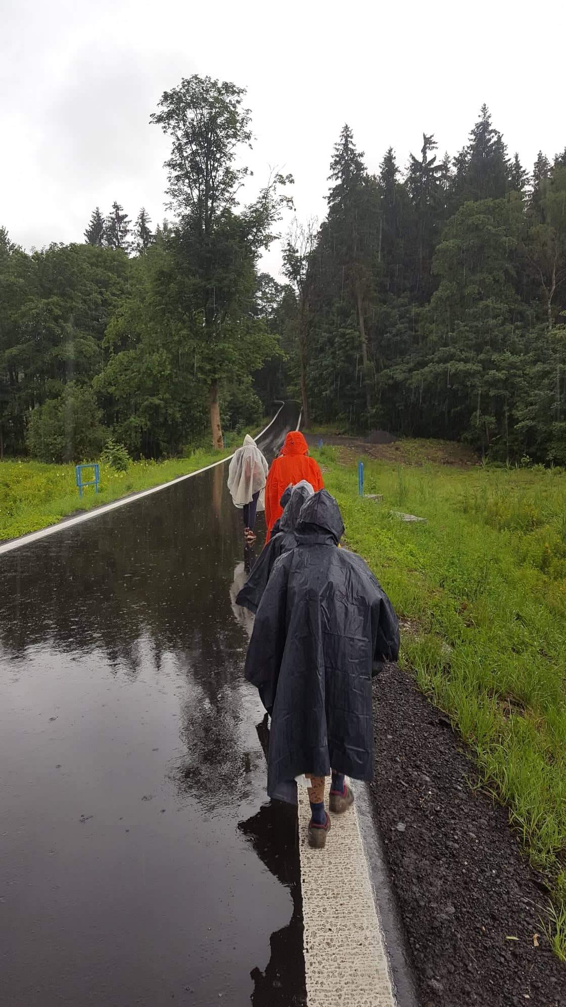 222396568 256694952607788 1221645942130476968 n