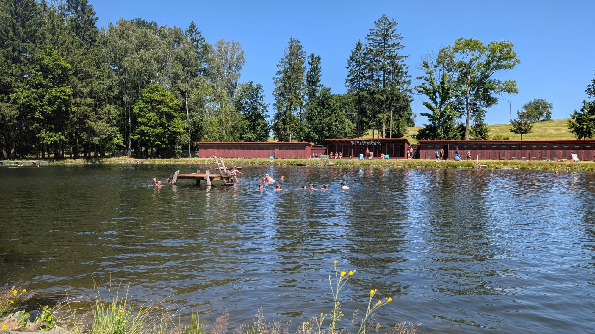 PXL 20250630 121325658.MP