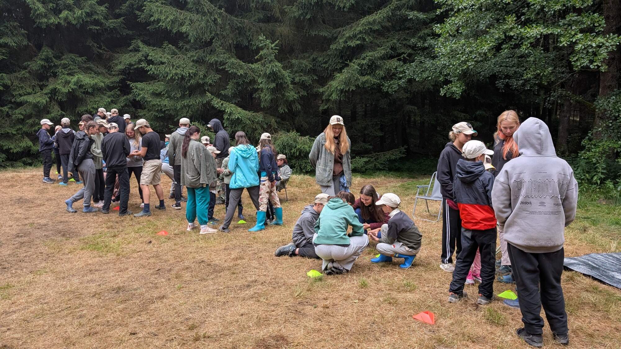 PXL 20250709 094246682